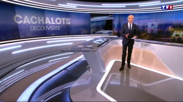 Voir le reportage Voir le reportage